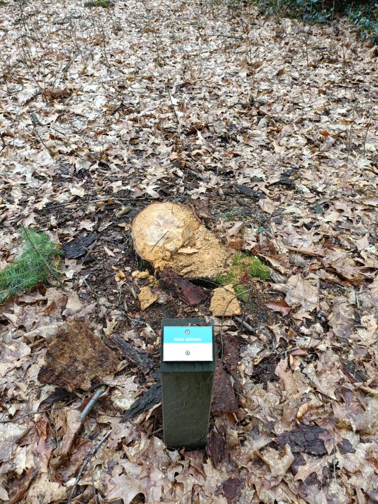 Deze afbeelding heeft een leeg alt-attribuut; de bestandsnaam is IMG20230407111022-768x1024.jpg